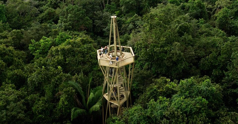 rainforest discovery center-miguiapanama